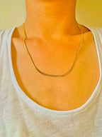 Snake Stainless Steel Chain (Unisex)